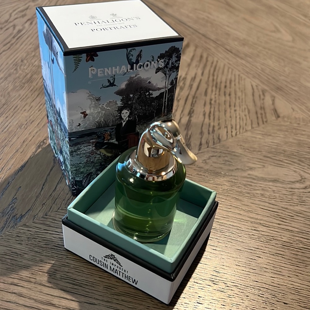 THE IMPUDENT COUSIN MATTHEW Matthew